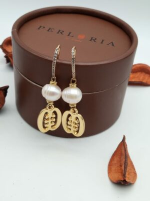 Boucles d’oreilles ADINKRA New image